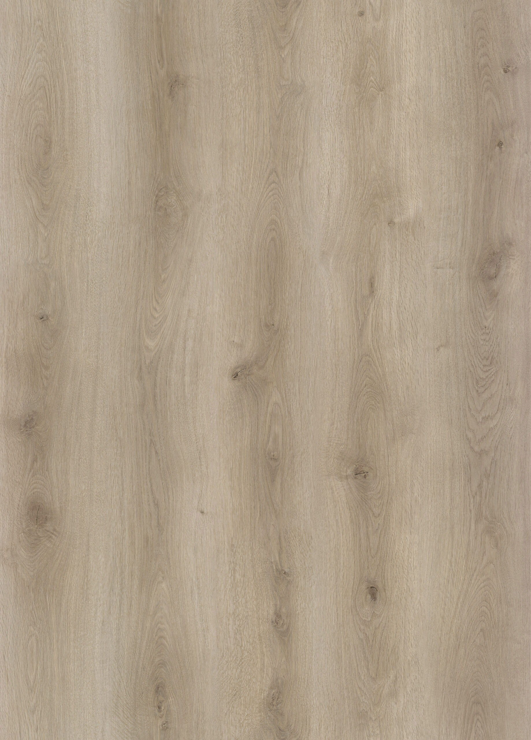 DN86049-008-1-scaled-1.jpg