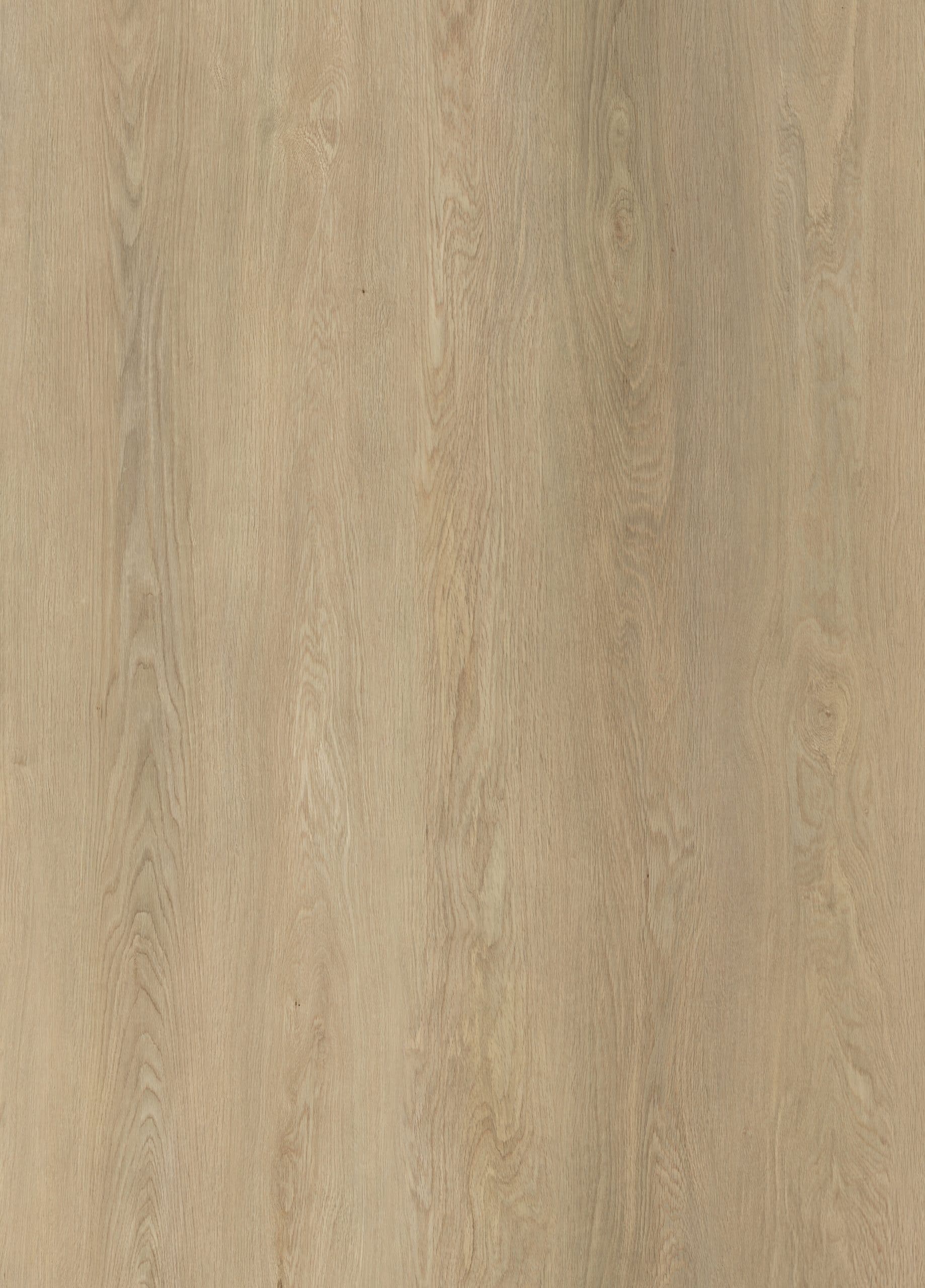 DN86060-001-1-scaled-1.jpg