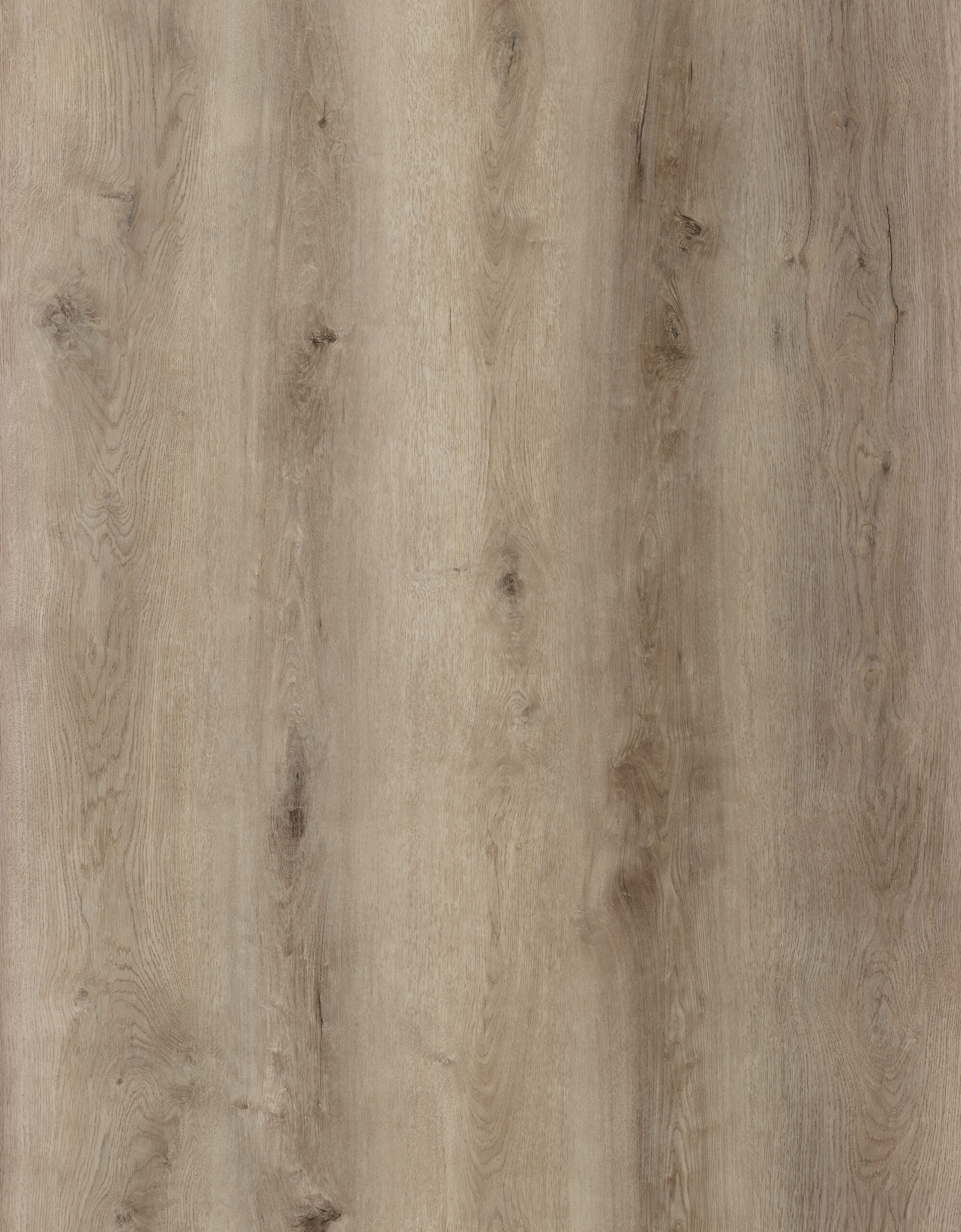 DN8651-004-1-scaled-1.jpg