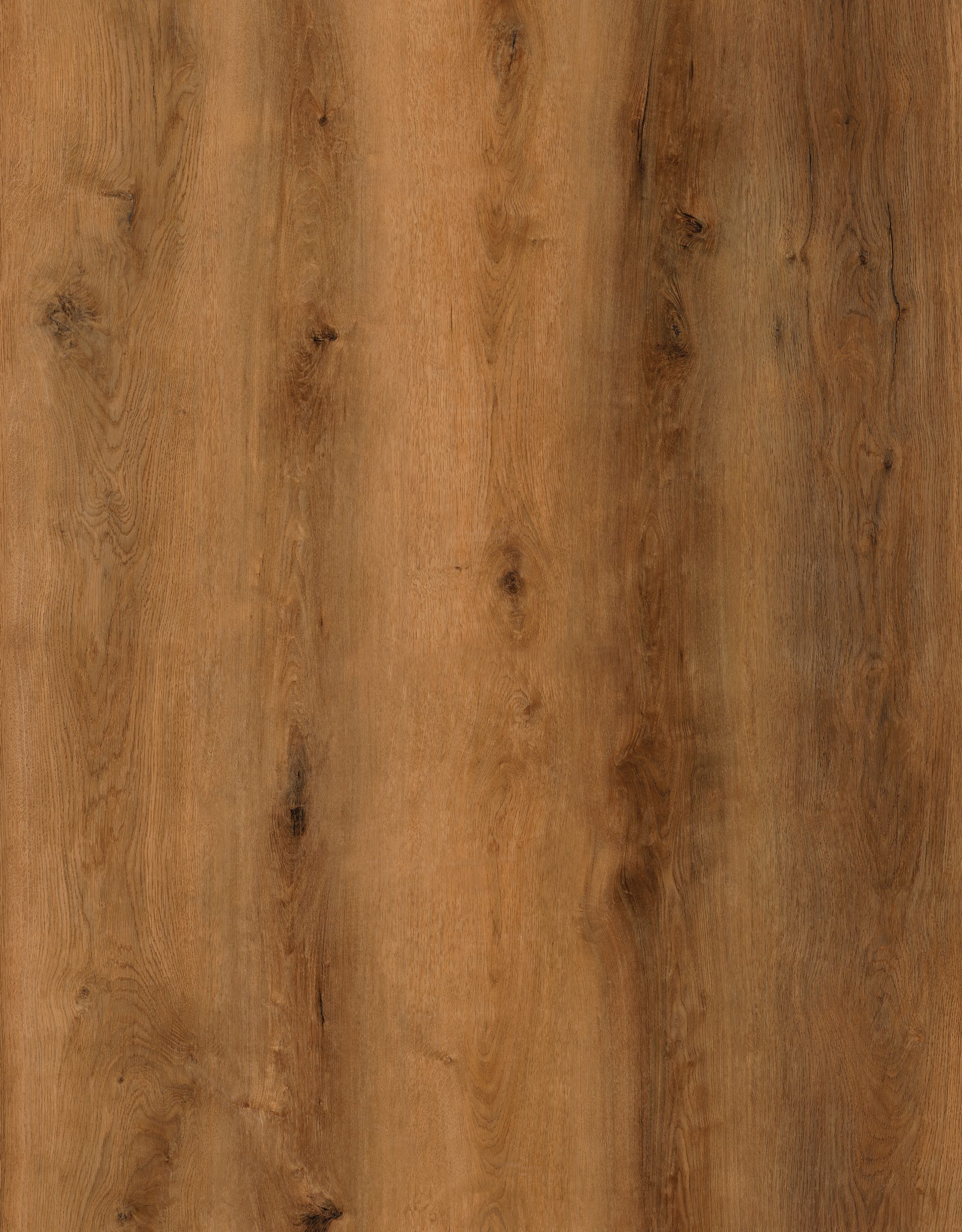 DN8651-006-1-scaled-1.jpg