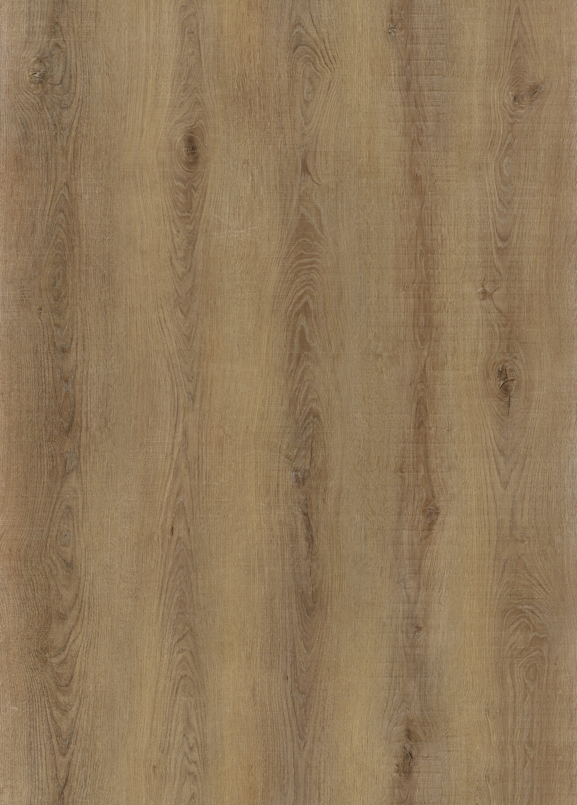 CK-004 Adin oak (1)