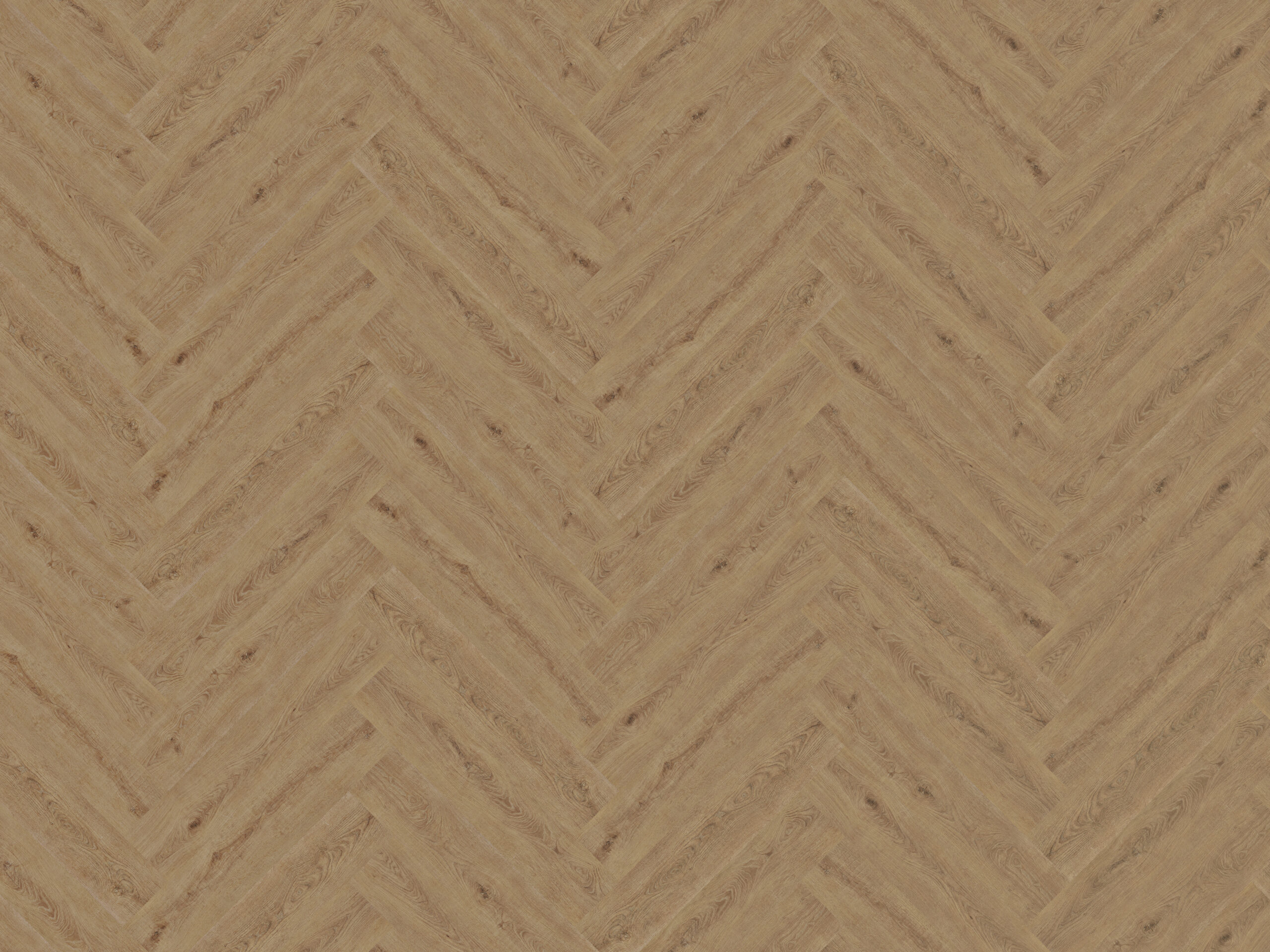 CK-004 Adin oak (2)