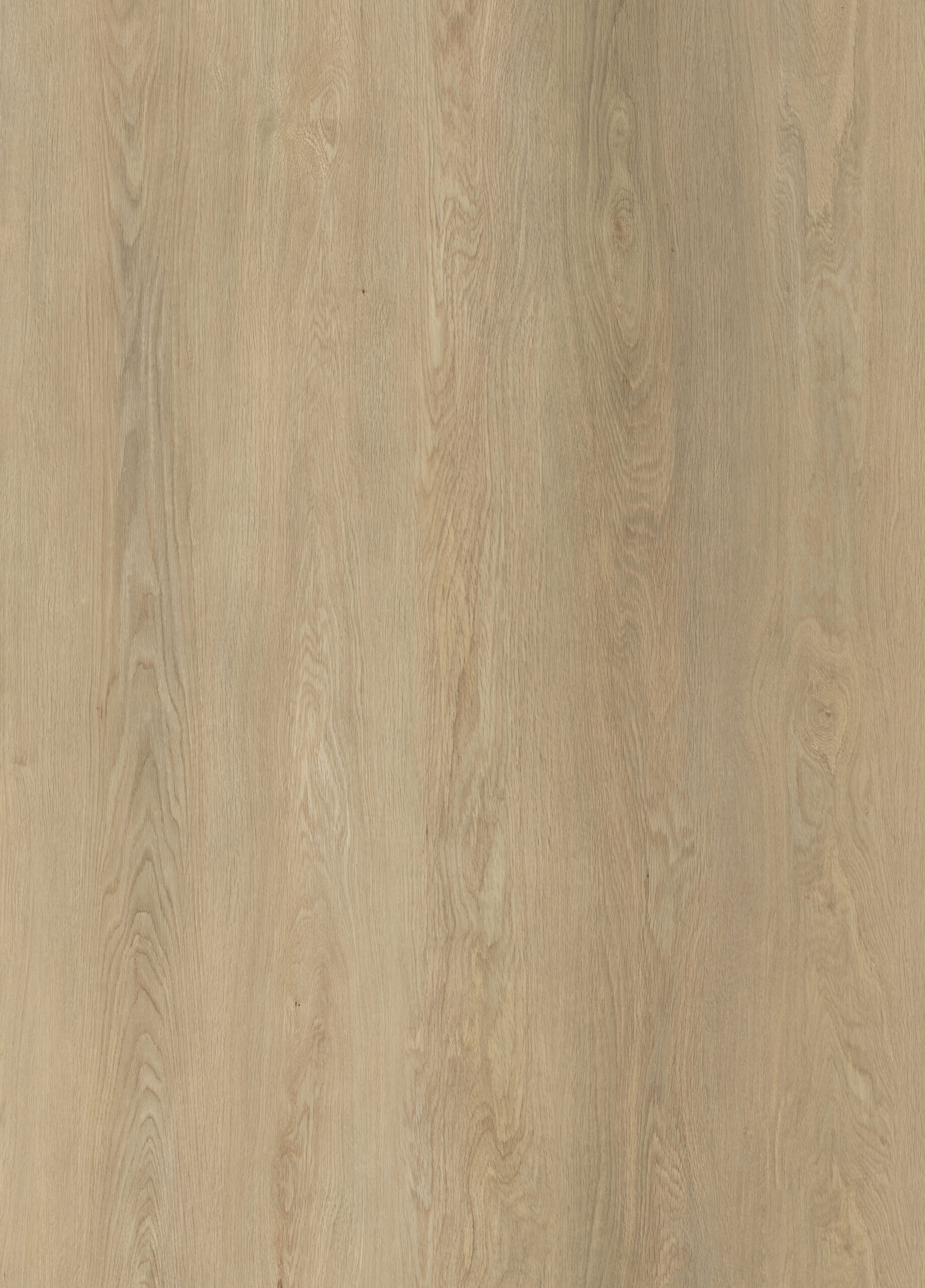 CK-008 Highland oak (1)