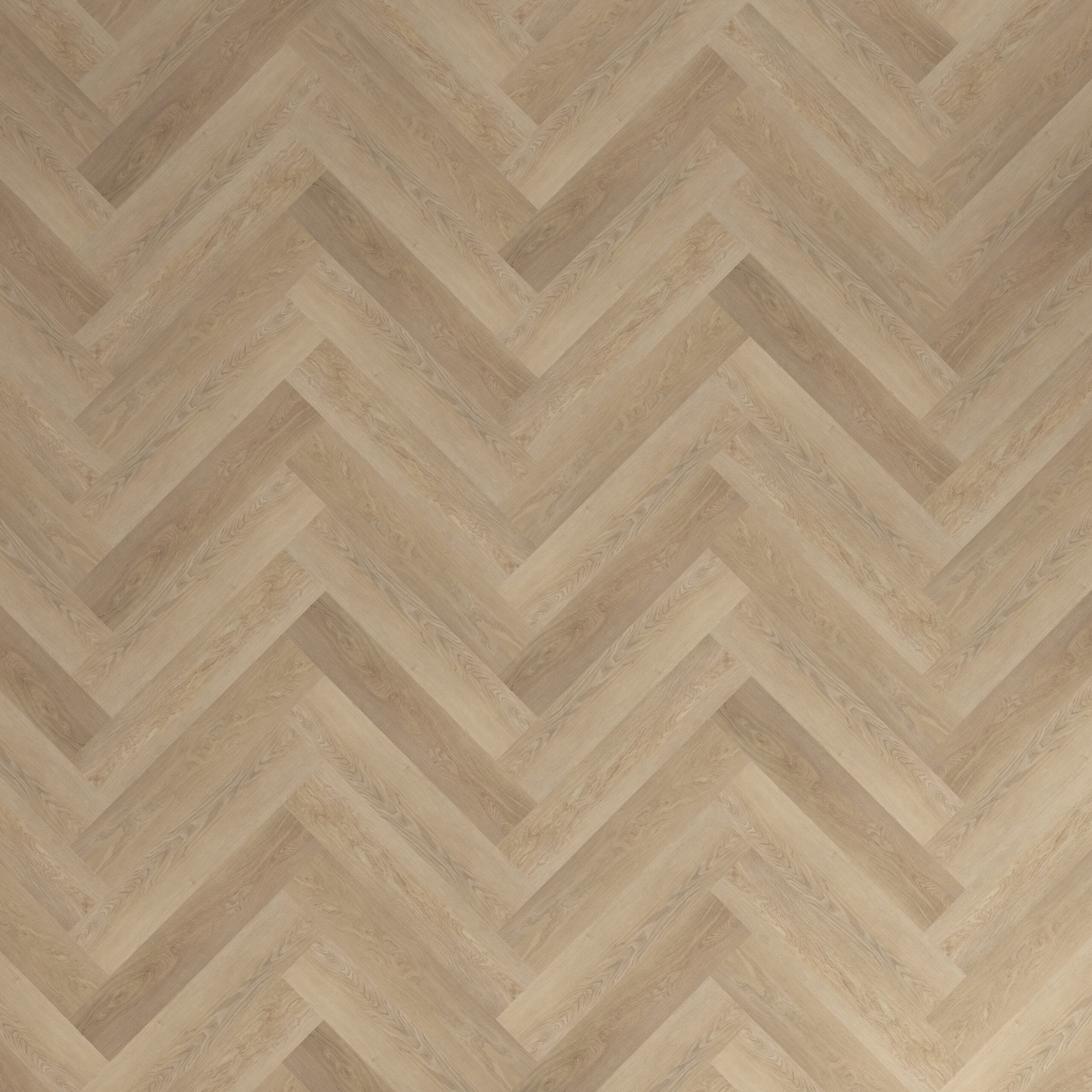 CK-008 Highland oak (2)